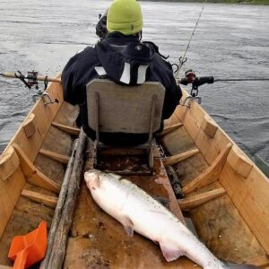 Soft bait lures for fishing tackle catalog