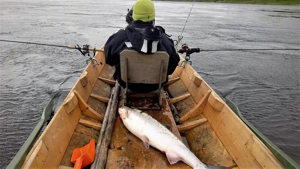 Soft bait lures for fishing tackle catalog